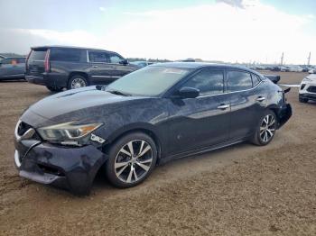  Salvage Nissan Maxima
