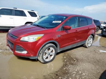 Salvage Ford Escape
