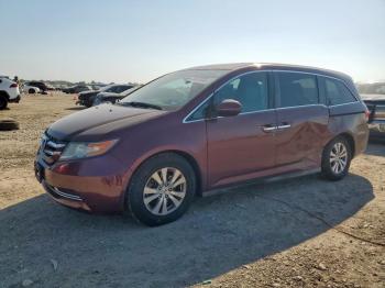  Salvage Honda Odyssey