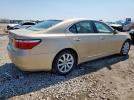 Lexus LS 460 Image 12