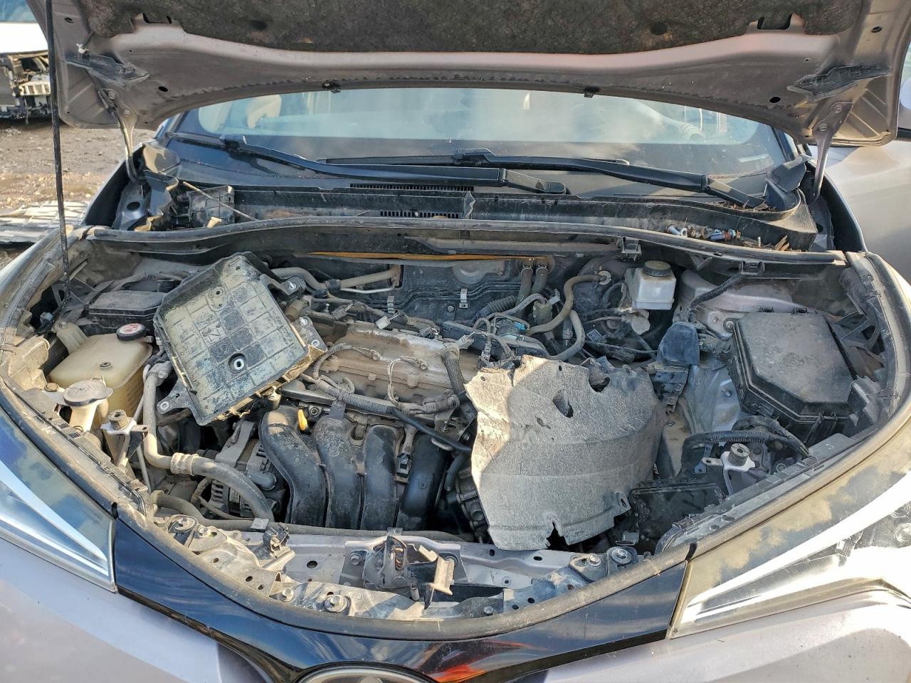 Toyota C-HR Xle Image 6