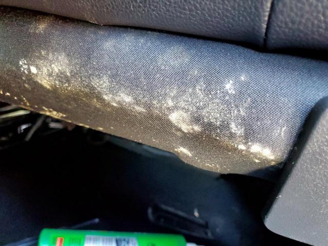 Volkswagen Tiguan Wolfsburg Image 12