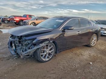  Salvage Nissan Maxima