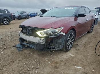  Salvage Nissan Maxima