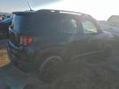Jeep Renegade Limited Image 8