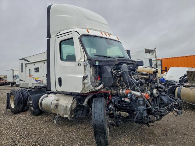  Salvage Freightliner Cascadia 1