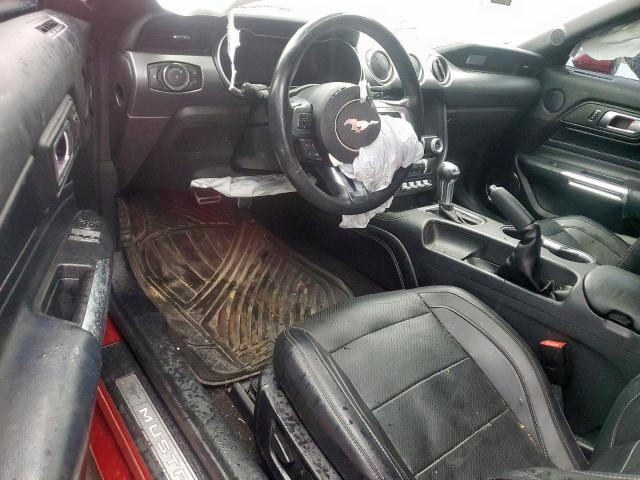 Ford Mustang Gt Image 5