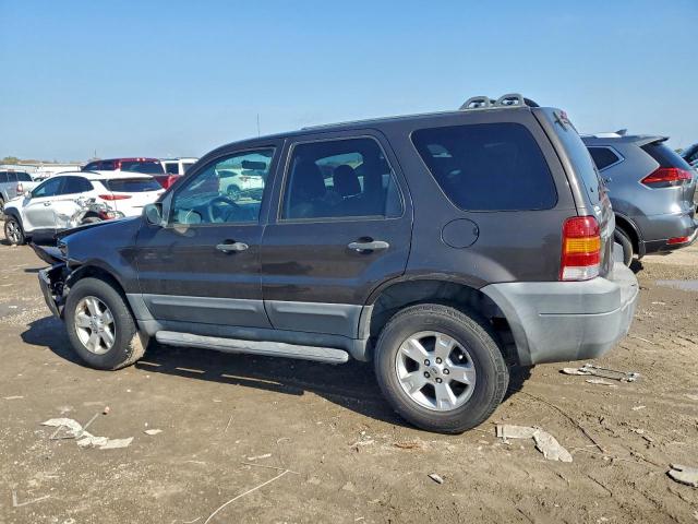 Ford Escape Xlt Image 3