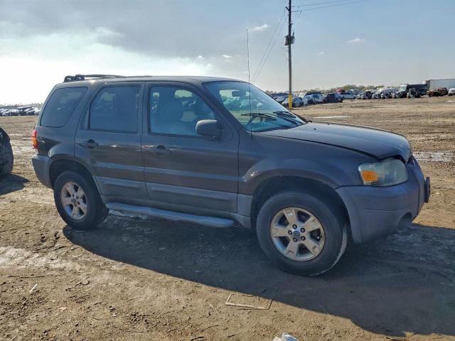 Ford Escape Xlt Image 5
