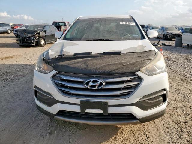 Hyundai SANTA FE Image 5