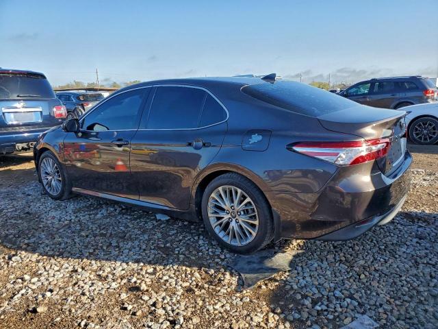 Toyota Camry Xle Image 6