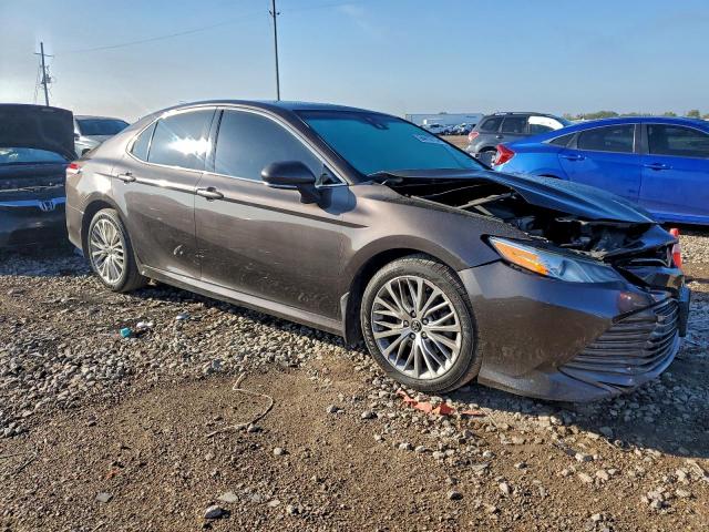 Toyota Camry Xle Image 8