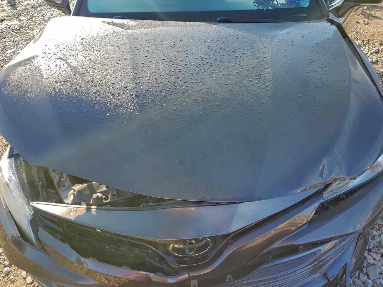 Toyota Camry Xle Image 10