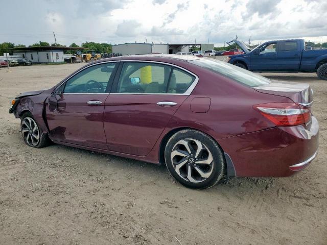 Honda Accord Exl Image 3