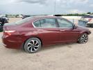 Honda Accord Exl Image 2