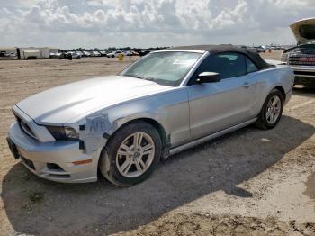  Salvage Ford Mustang