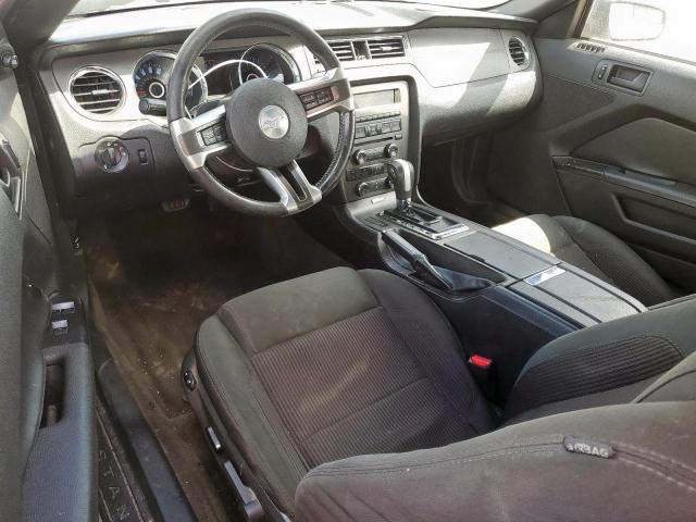 Ford Mustang Image 9