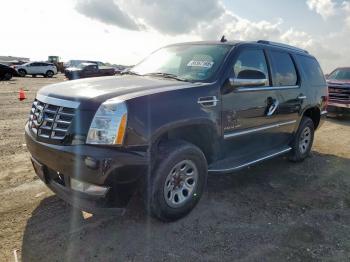  Salvage Cadillac Escalade