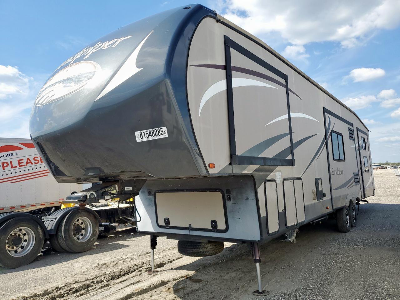 Other Sandpiper Image 8