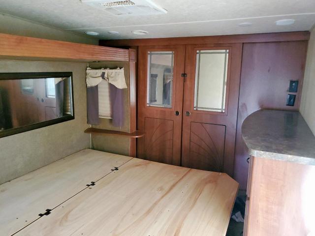 Other Sandpiper Image 6