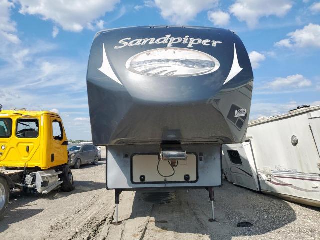 Other Sandpiper Image 9