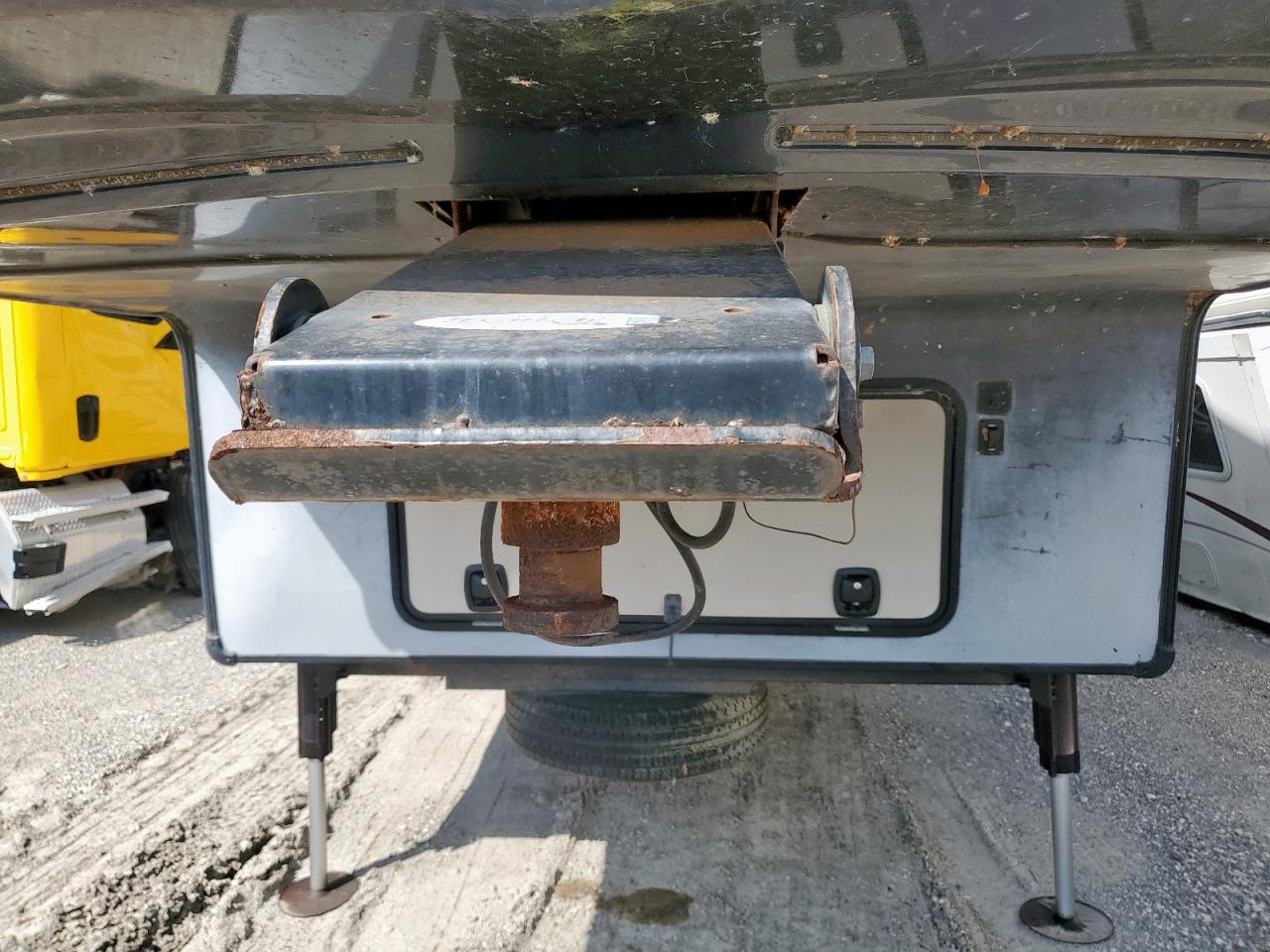 Other Sandpiper Image 10