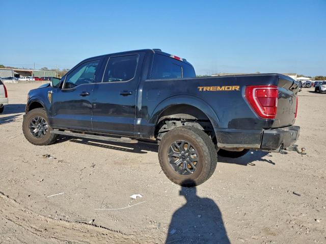 Ford F-150 Supercrew Image 3