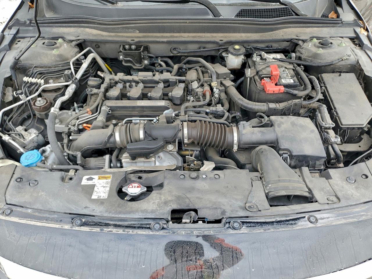 Honda Accord Touring Image 6