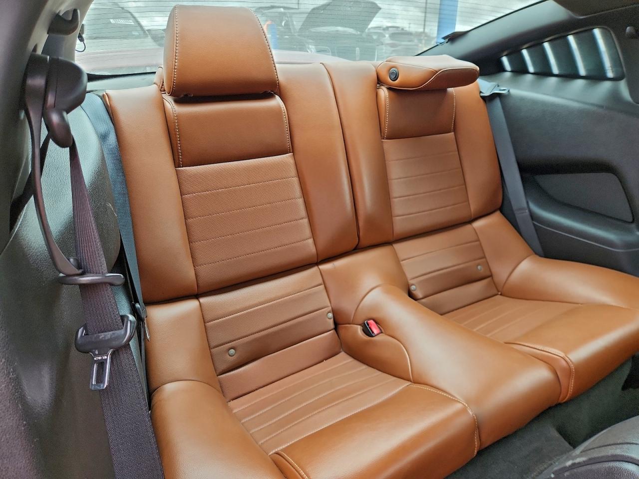 Ford Mustang Gt Image 11