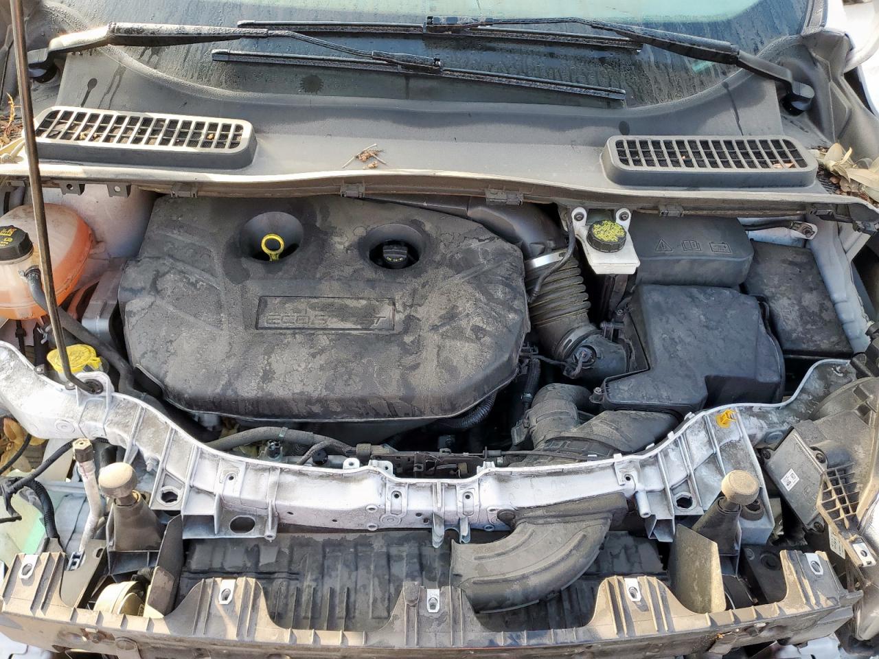 Ford Escape Titanium Image 13