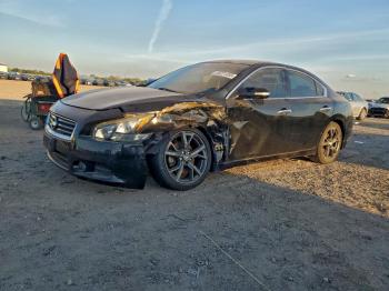 Salvage Nissan Maxima