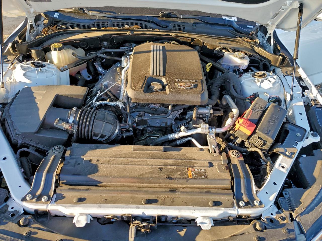 Cadillac CT4 Premium Luxury Image 4